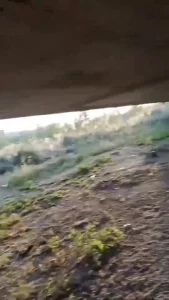 【雨哥原创】阿姨户外约炮草逼给我看，上帝视角老骚逼